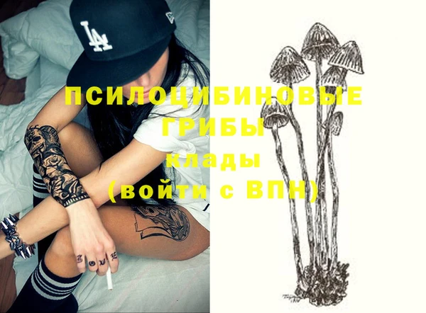 apvp Семикаракорск