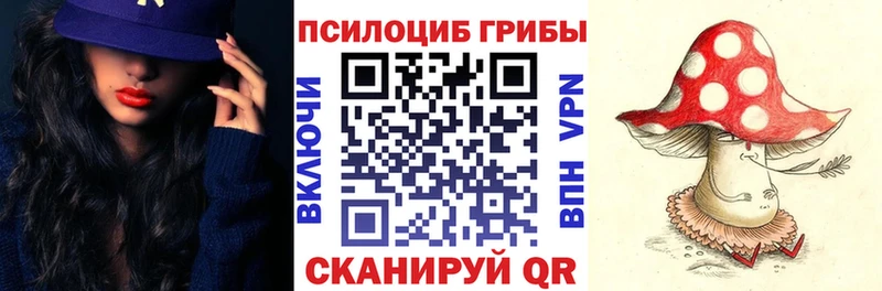 Псилоцибиновые грибы GOLDEN TEACHER  купить  сайты  Тарко-Сале 